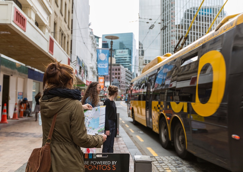 New Zealand-Wellington bus